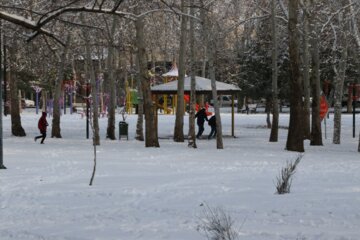 Urumiye’den Kar Manzaraları