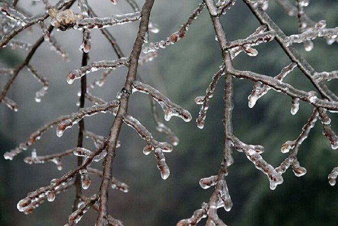 یخبندان شبانه سیستان و بلوچستان را فرا می‌گیرد