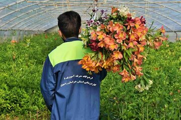 کار زندانی اختیاری است/صادرات گل‌های تولید زندانیان به انگلیس و امارات