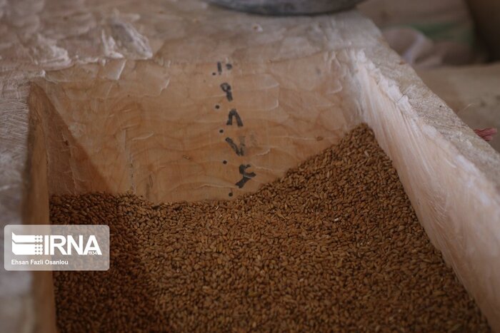 احیای آسیابانی سنتی در آسیاب آبی دینهسر ساری 4