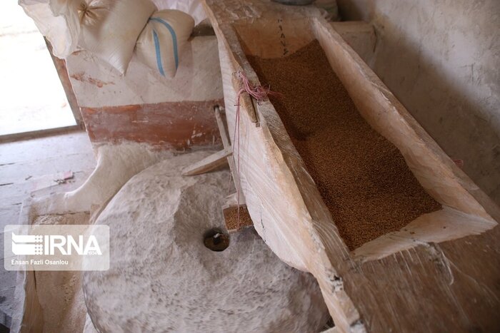 احیای آسیابانی سنتی در آسیاب آبی دینهسر ساری 5