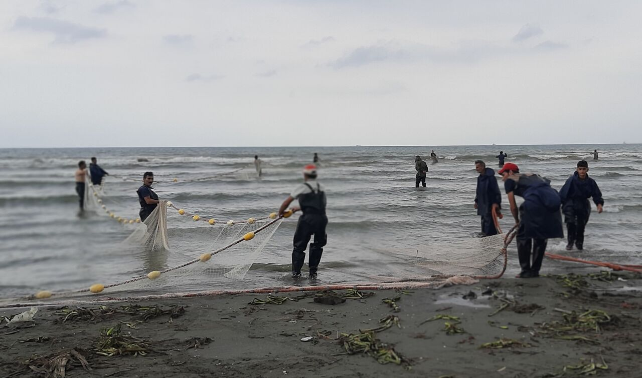 از ورود ۱۱۲ میلیون واکسن کرونا به کشور تا صادرات ۲۰۵ میلیون دلاری