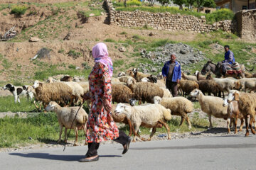 روستای گردشری رویین اسفراین