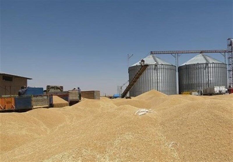 مدیرعامل شرکت تعاونی خلیج فارس گناوه: کارمزد خرید گندم افزایش یابد