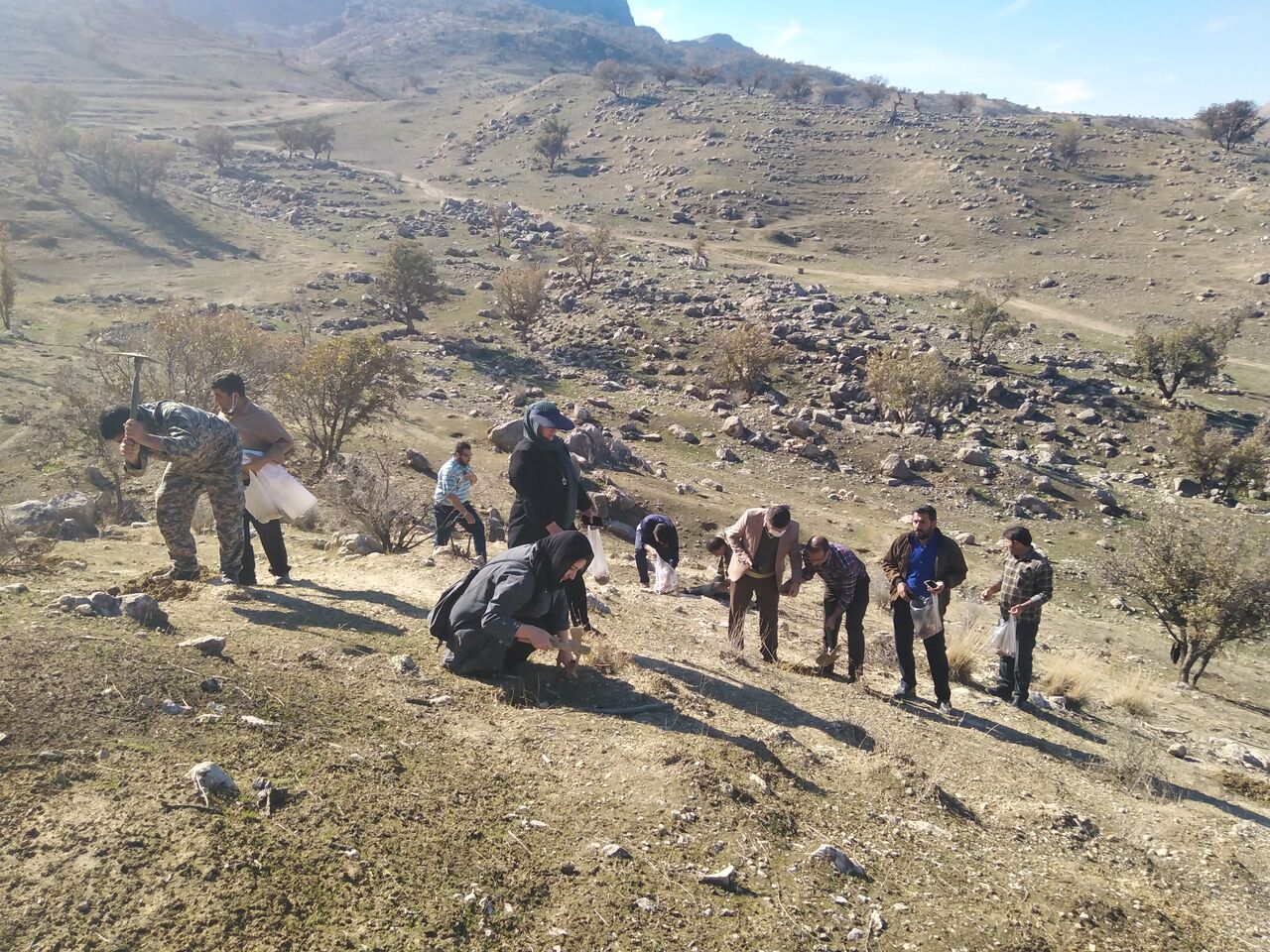 بذرکاری ۲۰ هکتار از اراضی ملی بخش بوستان باشت آغاز شد