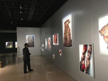  همکاری های فرهنگی و هنری ایران با موزه عکاسی ژاپن توسعه می یابد