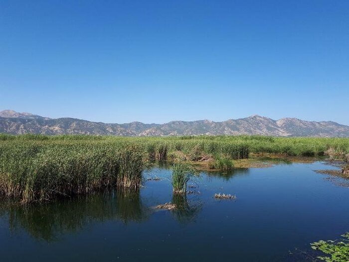 چند خبرکوتاه از کردستان