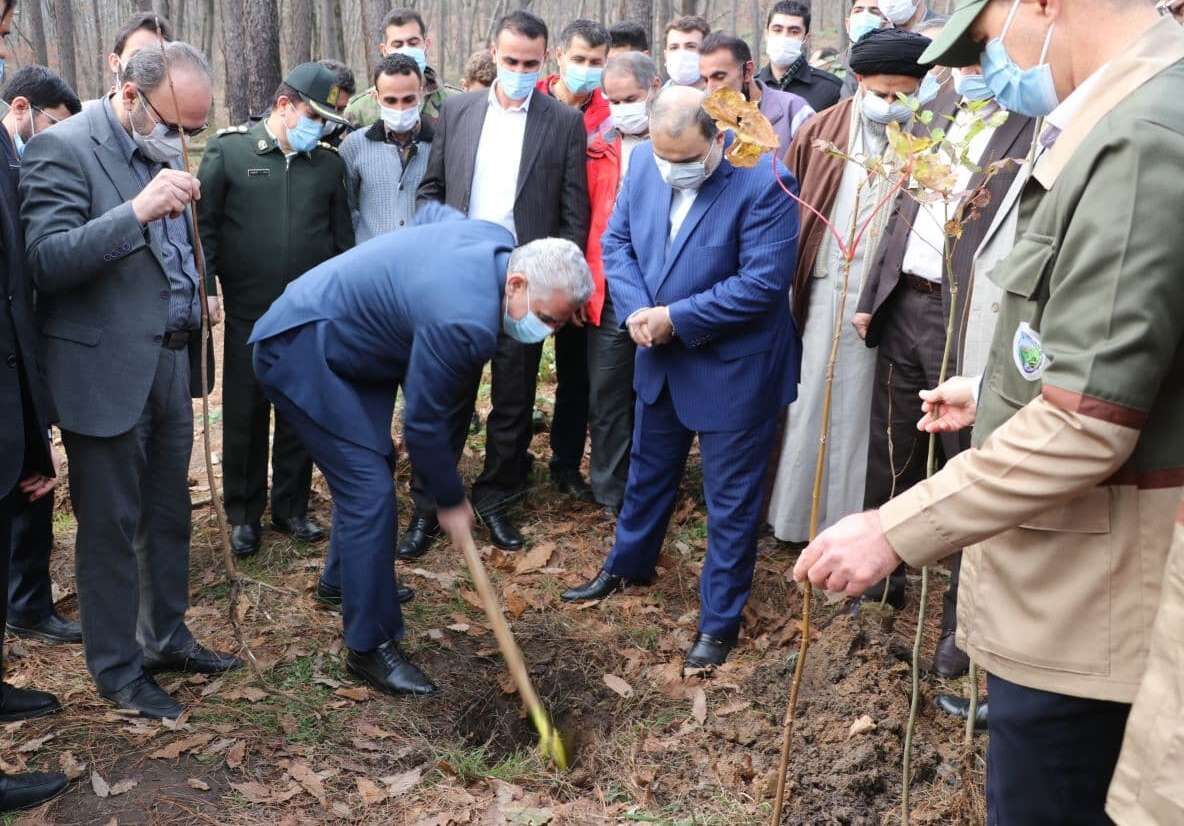 مردم با نهال رایگان پهنه سبز گیلان را احیا کنند