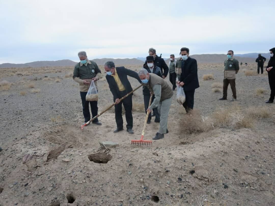 پویش ایران سرسبز در خراسان جنوبی آغاز شد پویش ایران سرسبز در خراسان جنوبی آغاز شد