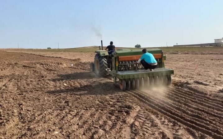 سطح زیر کشت طرح جهش تولید در اراضی کردستان به ۳۵۹ هزار هکتار رسید