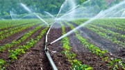 ایران در تولید تجهیزات آبیاری کشاورزی در مرز خودکفایی است