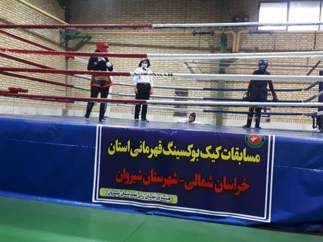 بانوان رزمی کار برتر خراسان شمالی معرفی شدند