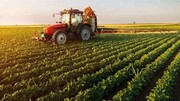 بیش از سه درصد ارزش افزوده آذربایجان‌شرقی مربوط به بخش کشاورزی است