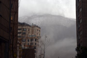 فیلم/ حال و هوای شیراز در یک روز بارانی