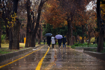 هوای شیراز بیست و دوم اسفند ماه بارانی است 