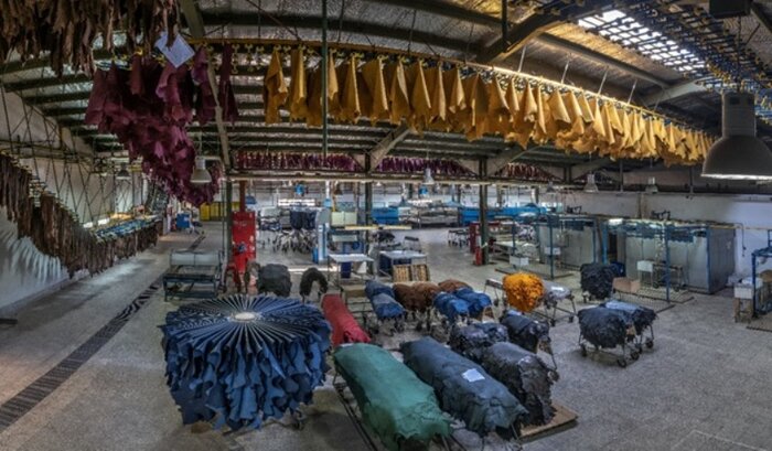The need for knowledge-based people to enter the tannery/export industry is that a leather jacket is worth 4 times more than a barrel of crude oil.