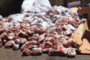 حدود هفت تن گوشت فاسد در مهاباد معدوم شد