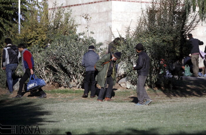 زنگ بوستان‌ها برای که به صدا در می‌آید