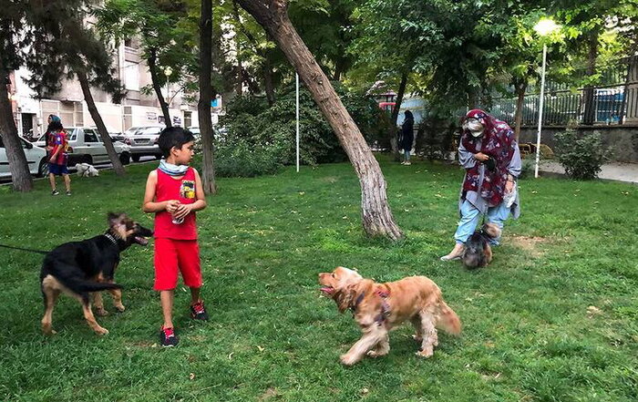 زنگ بوستانها برای که به صدا در میآید