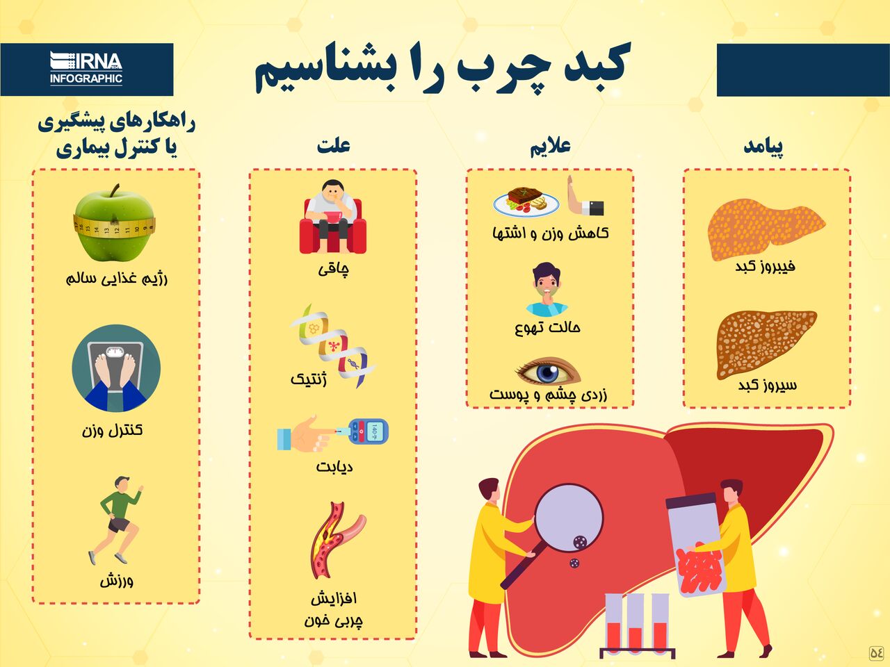 کبد چرب را بشناسیم 1 پایگاه خبری ججین پایگاه خبر ججین