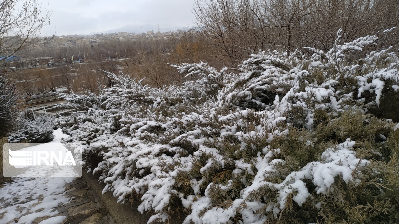 بارشهای پراکنده برف میهمان زنجانی ها میشود بارشهای پراکنده برف میهمان زنجانی ها میشود