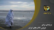 مرثیه‌ای برای عروس تالاب‌های ایران