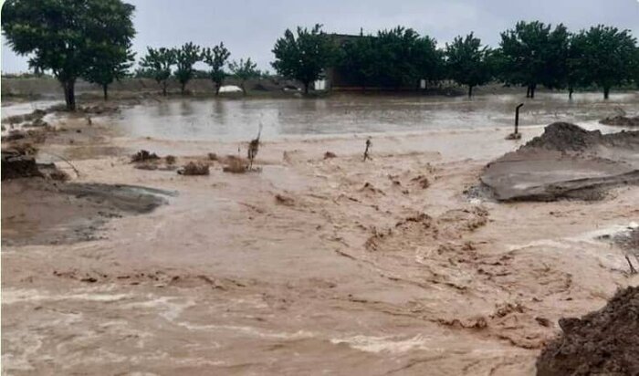 پیامد سیل؛ فرماندار مُهر فارس دستور تخلیه یک روستای این شهرستان را صادر کرد