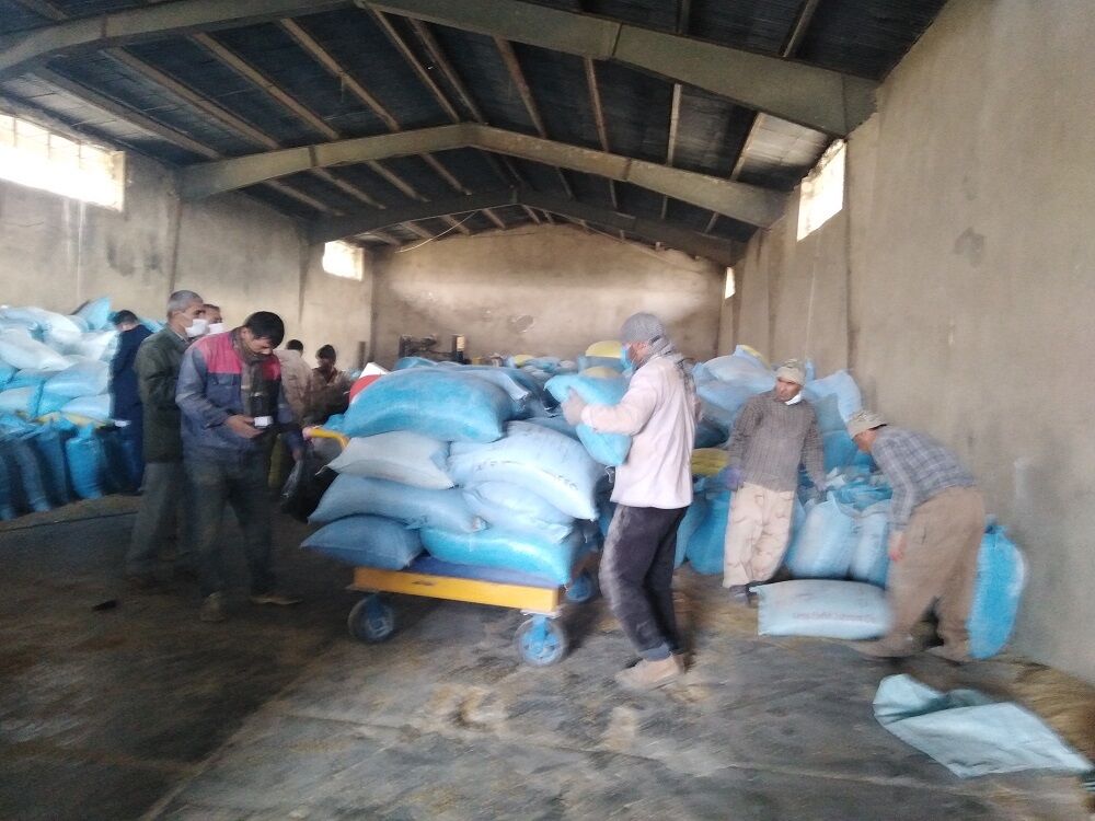 ۴۰ هزار تن نهاده دامی برای دام عشایر خراسان جنوبی توزیع شد ۴۰ هزار تن نهاده دامی برای دام عشایر خراسان جنوبی توزیع شد