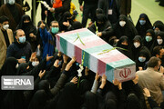 ایران اسلامی با شمیم ۲۵۰ «لاله فاطمی» عطرآگین شد