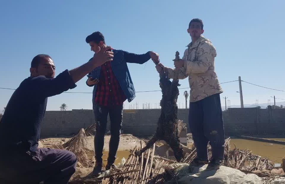 از امدادرسانی به سیلزدگان تا رشد ۴۳۴ درصدی ورود زائران خارجی به مشهد