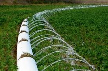 سطح اراضی زراعی بیمه شده در آذربایجان غربی به ۹۱ هزار هکتار رسید