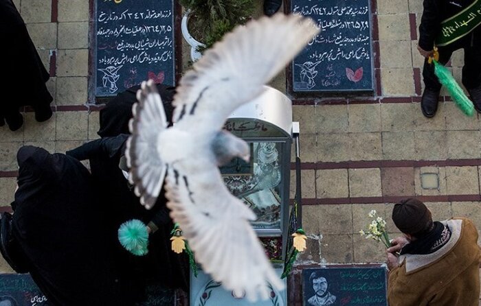 طی مسافت ۱۴۰۰ کیلومتر به عشق حاج قاسم تا پروار کبوتران صلح و دوستی