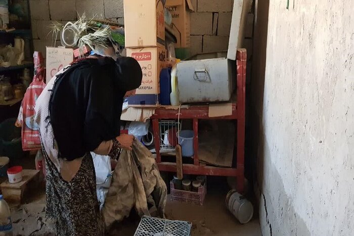 معاون بنیاد مسکن کشور،نوید بازسازی زود هنگام مناطق سیل زده فارس را داد