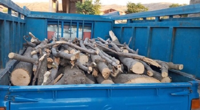 تیشه بر ریشه میراث طبیعی مرزنشینان خراسان شمالی