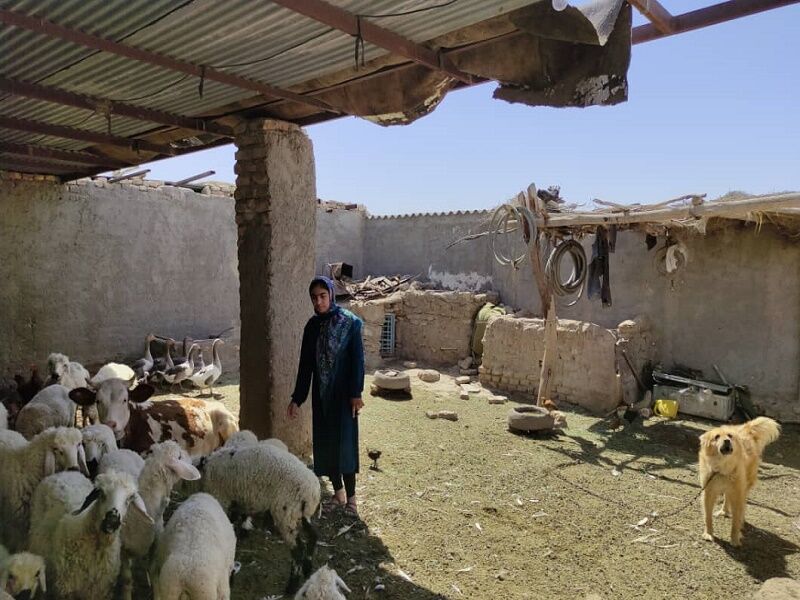 افزون‌بر ۲ میلیارد ریال تسهیلات اشتغال به زنان سیستان و بلوچستان پرداخت شده است