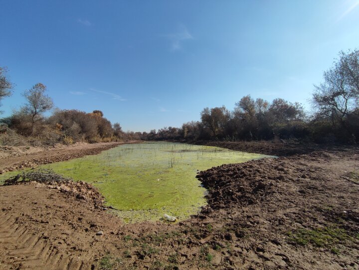ماجرای کشمکش پارک ملی دز و اداره منابع طبیعی دزفول