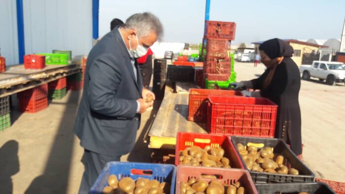 بلوای کیوی، پایانی بر تجارت سنتی 4