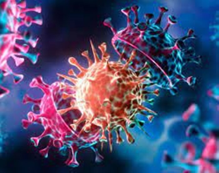 جشنواره گوهر فاطمی تا محکومیت آل سعود