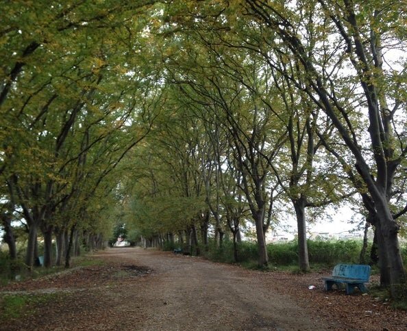 پشت پرده بدهی کلان شهرداری ساری به تامین اجتماعی