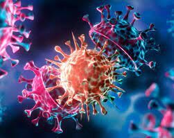 شیوع اُمیکرون پذیرش در مراکز شبانه روزی بهزیستی زنجان را محدود کرد