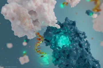 جاسوسی پروتئین‌ها با نانوآنتن‌های ساخته شده از دی‌ ان ای