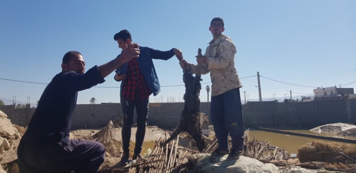 بیرم لارستان فارس یک هفته پس از سیل