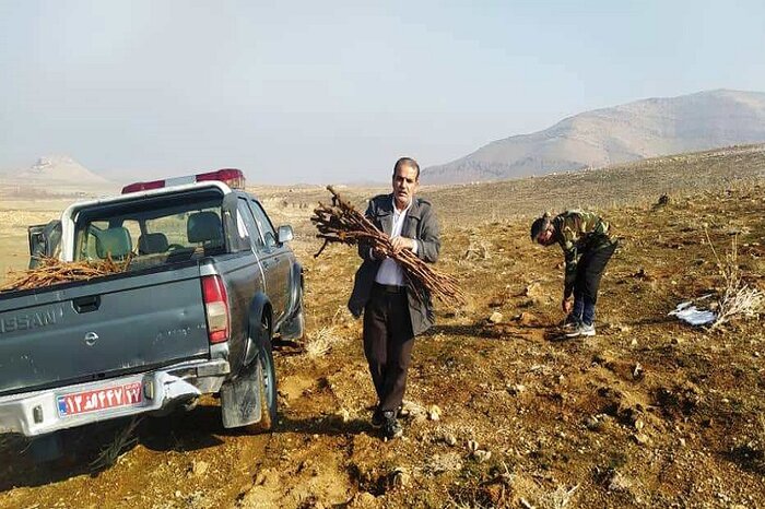 حکم قلع و قمع ۱۲ هزار مترمربع از اراضی ملی تصرف شده در مهاباد اجرا شد