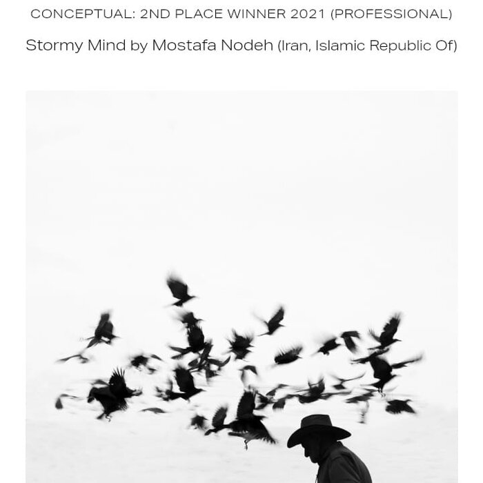 هنرمندان گیلانی برگزیدگان جشنوارههای بینالمللی شدند