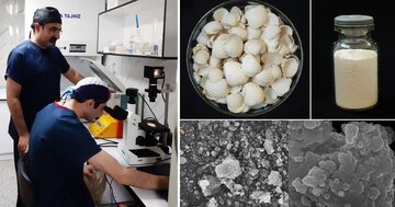 ساخت مواد پایدار موردنیاز در پزشکی بازساختی با پوسته صدف دریای خزر
