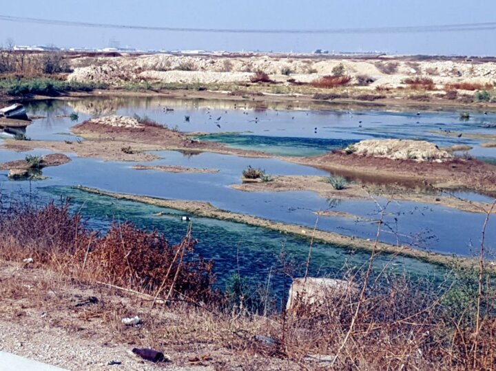 استفاده بهینه از پساب فاضلاب بوشهر راهکار گذر از بحران خشکسالی  