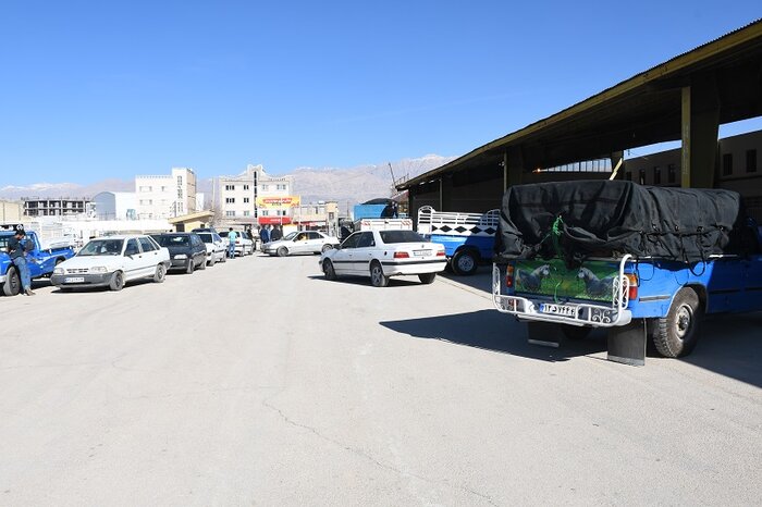 بازار میوه در یاسوج؛ مافیای ژنده پوش