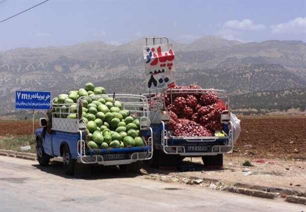 بازار میوه در یاسوج؛ مافیای ژنده پوش