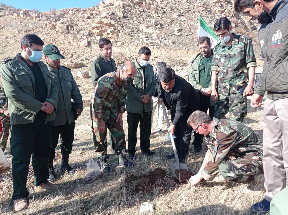 پویش بذرکاری و نهالکاری در قصرشیرین اجرا شد