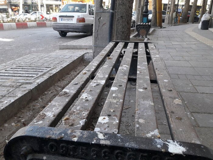 ترس از کلاغها؛ اینجا برای قدم زدن چتر لازم است